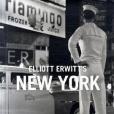 Elliott Erwitt\x27s New York