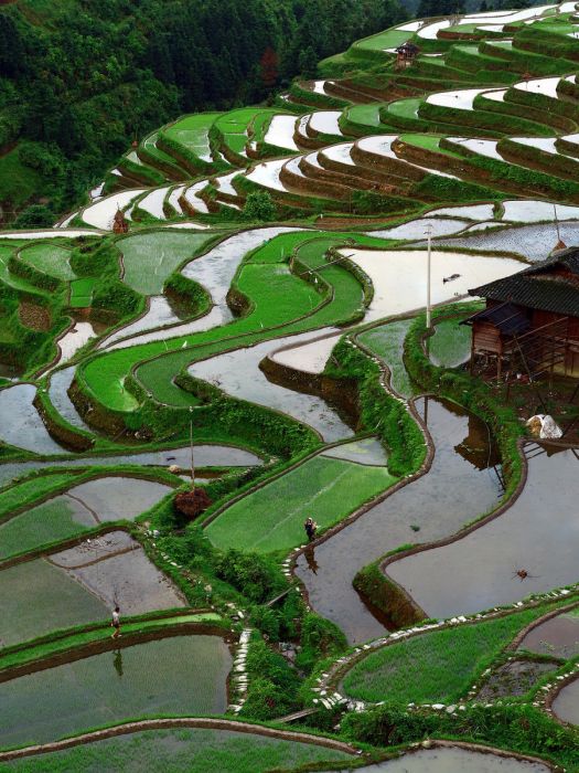 小扭克村 小扭克村