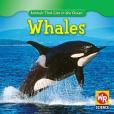 Whales(Weber, Valerie J.著圖書) Whales(Weber, Valerie J.著圖書)