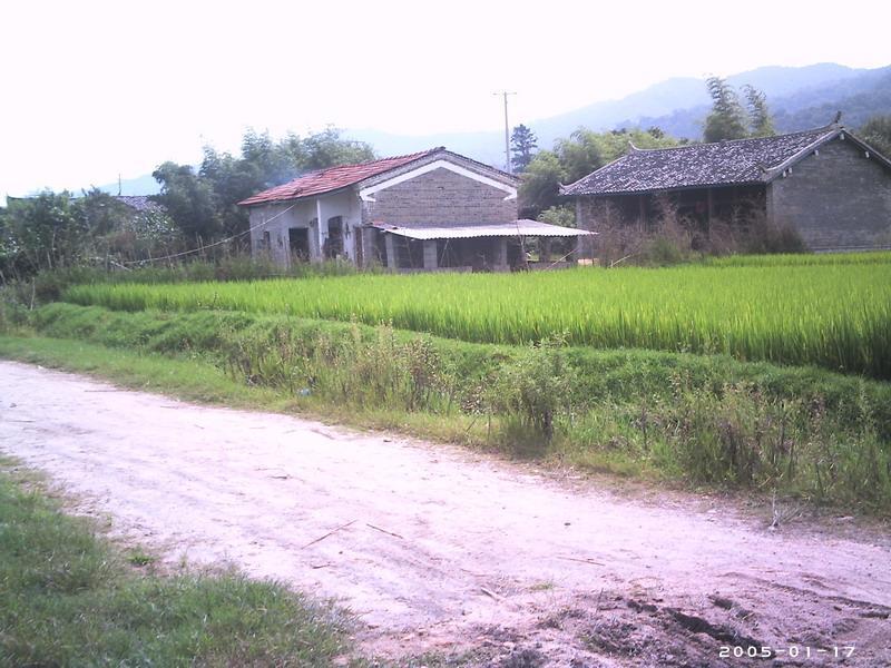老混東村 老混東村