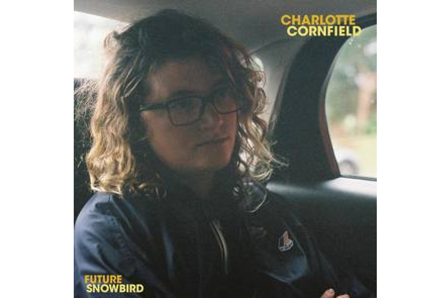 Charlotte Cornfield Charlotte Cornfield