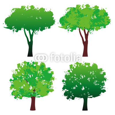 四棵樹