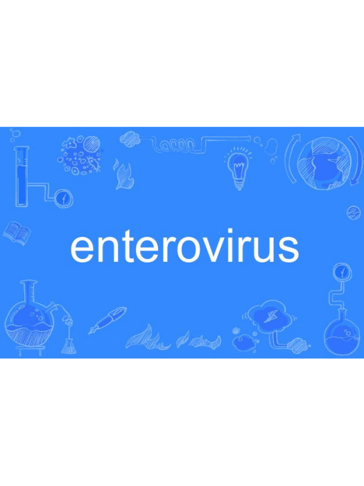 enterovirus enterovirus
