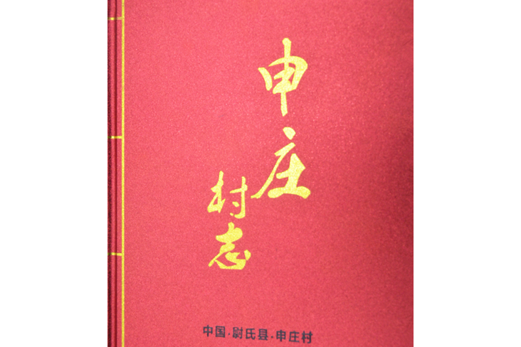 申莊村志