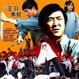 威震四方(台灣動作功夫類片) 威震四方(台灣動作功夫類片)
