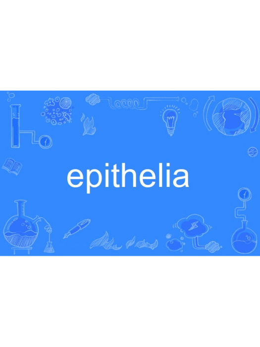 epithelia epithelia