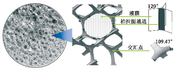 泡沫結構圖