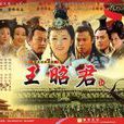 王昭君(2007楊冪主演電視劇)