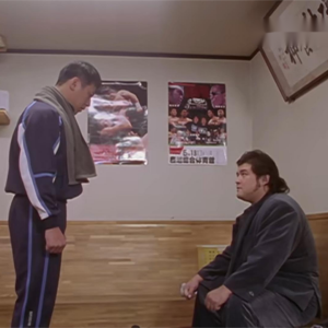 大剛