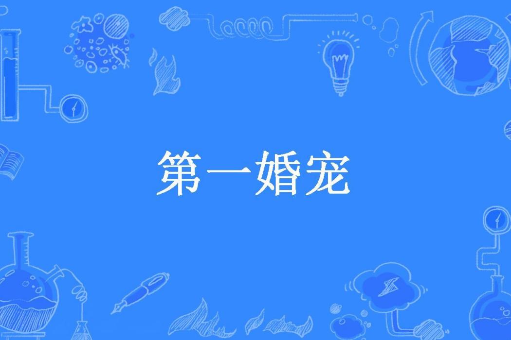 第一婚寵(年初所著小說) 第一婚寵(年初所著小說)
