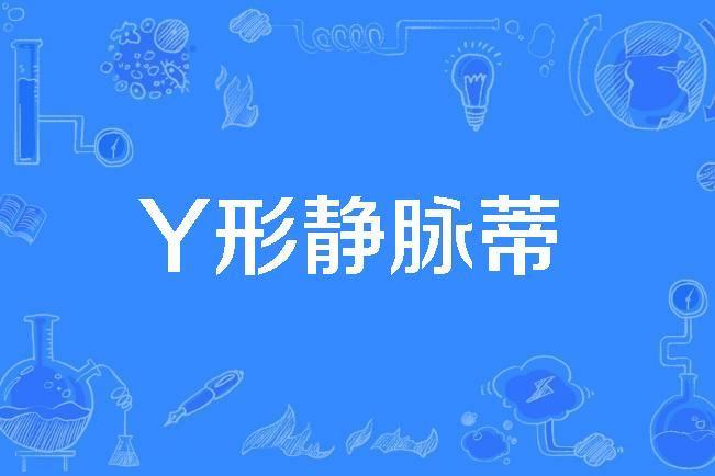 Y形靜脈蒂 Y形靜脈蒂
