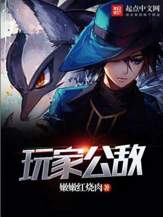 玩家公敵(嫩嫩紅燒肉所著的系列網路小說) 玩家公敵(嫩嫩紅燒肉所著的系列網路小說)