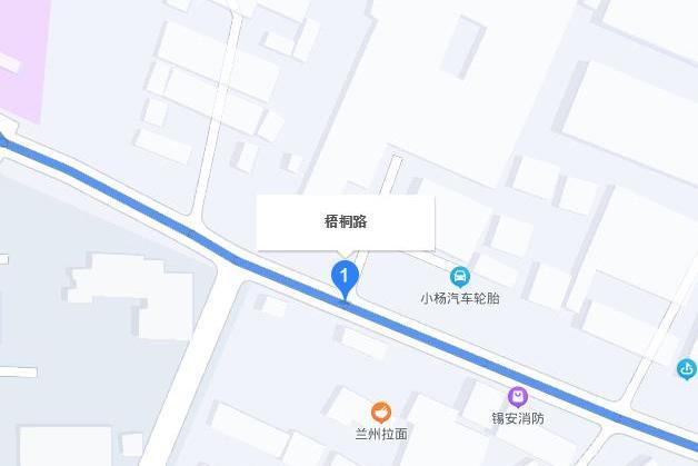 梧桐路(常州市梧桐路) 梧桐路(常州市梧桐路)