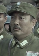 長沙保衛戰(長沙會戰（2013年張豐毅主演電視劇）)