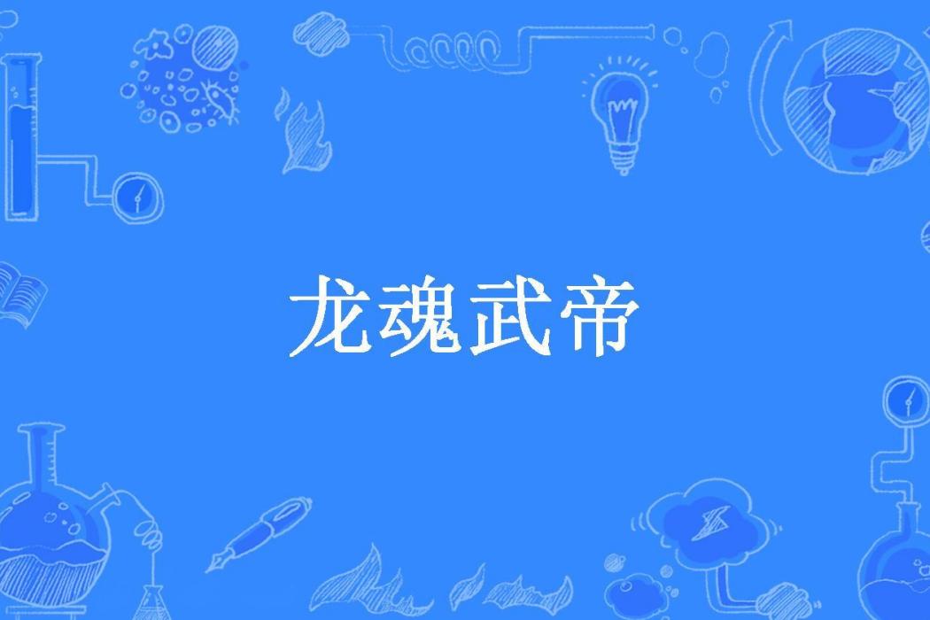 龍魂武帝(洵少所著小說)
