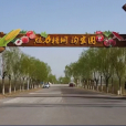 陶家圈村 陶家圈村