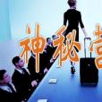 神秘行銷 神秘行銷