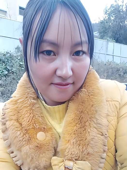 小燕子。 小燕子。