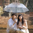 魔物(日本2025年麻生久美子、鹽野瑛久主演的電視劇) 魔物(日本2025年麻生久美子、鹽野瑛久主演的電視劇)