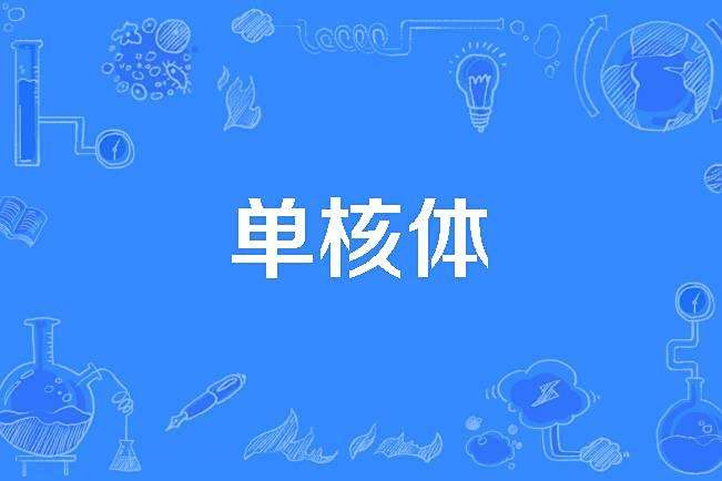 單核體 單核體