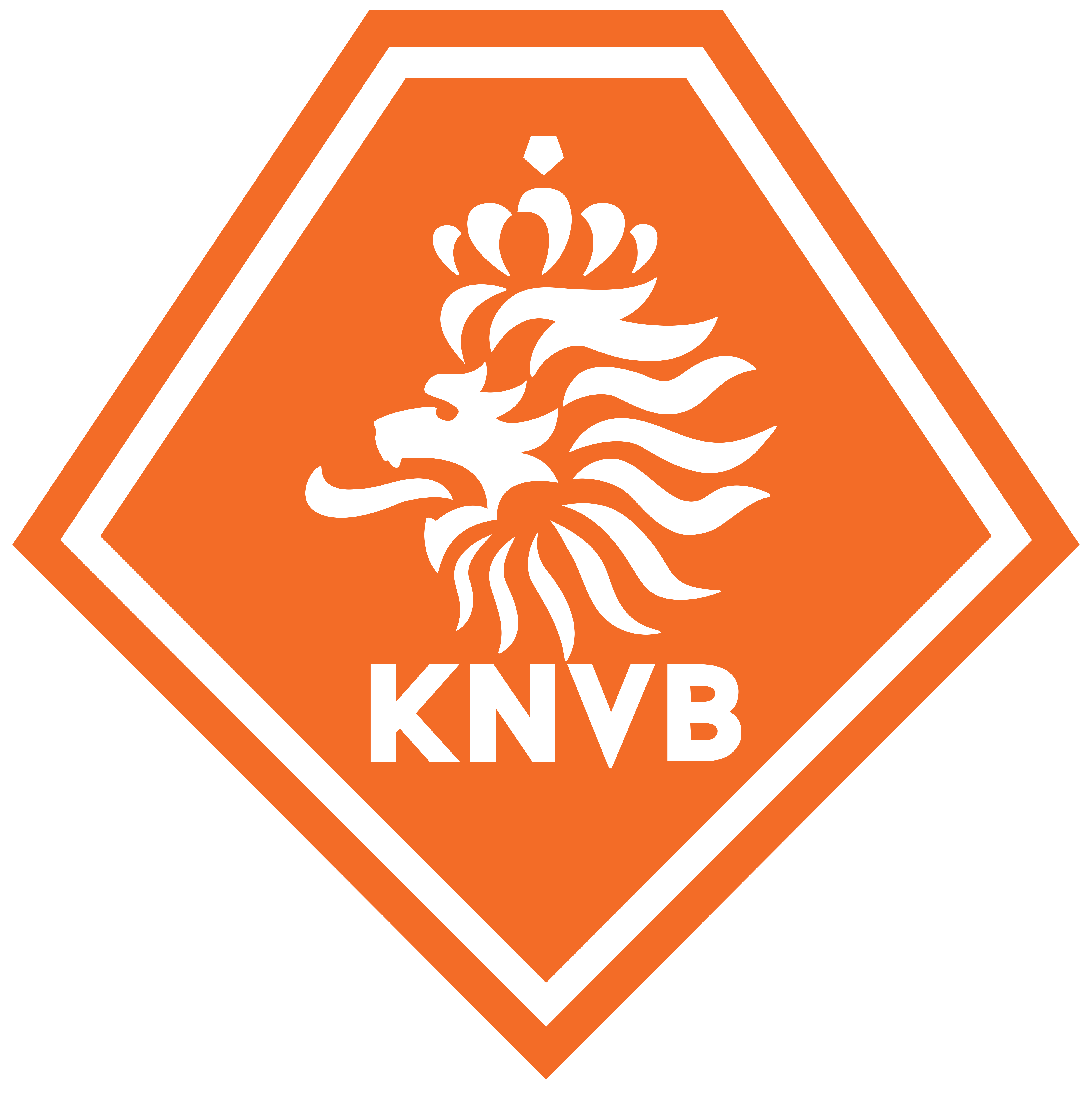 荷蘭皇家足球協會(荷蘭足球協會)
