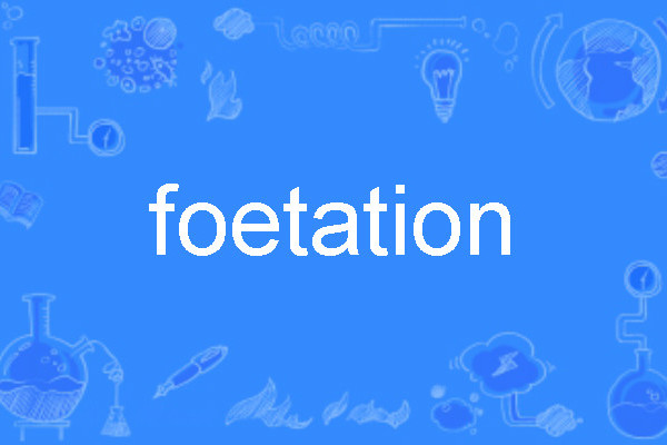 foetation foetation