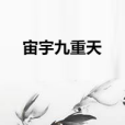 宙宇九重天 宙宇九重天