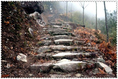 百步嶺古道(位於官路洋村的古道) 百步嶺古道(位於官路洋村的古道)