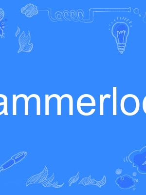 hammerlock hammerlock