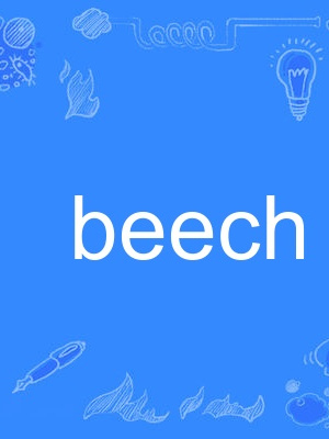 beech beech