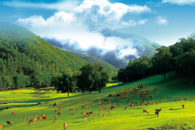 金山屯鎮 金山屯鎮