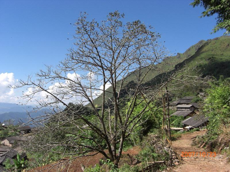 忙拖寨村 忙拖寨村