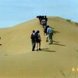寧夏沙坡頭沙漠生態系統國家野外科學觀測研究站
