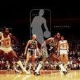 1981年NBA總決賽