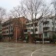 麻埠 麻埠