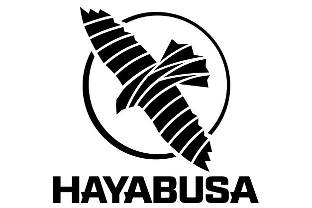 HAYABUSA HAYABUSA