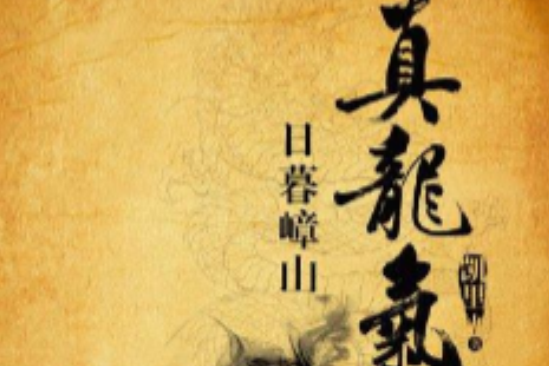 真龍氣下 真龍氣下