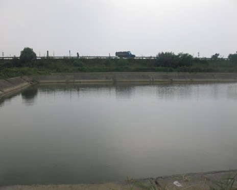 湖南省鯝魚原種場
