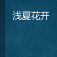 淺夏花開(小說) 淺夏花開(小說)