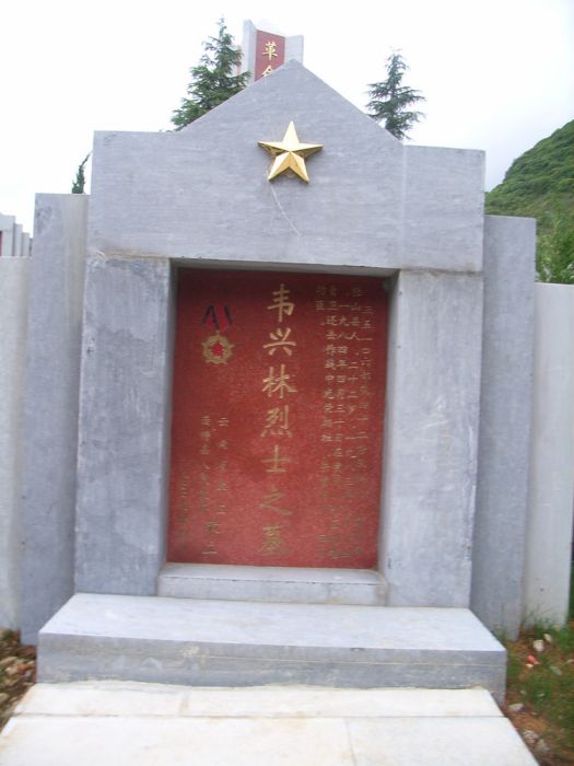 韋興林(革命烈士) 韋興林(革命烈士)