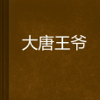 大唐王爺 大唐王爺