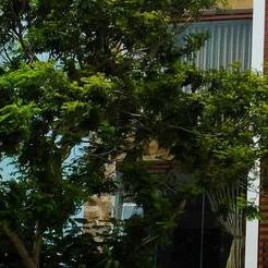 Thanh Nhung Hotel Thanh Nhung Hotel