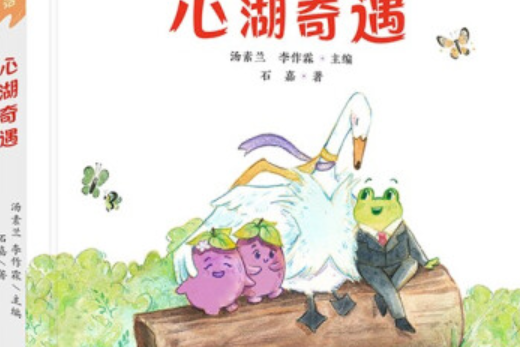 心湖奇遇 心湖奇遇