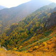西靈山