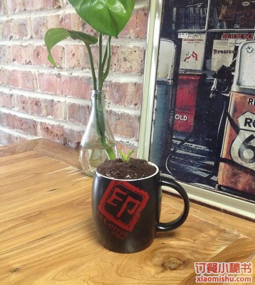 盆栽咖啡