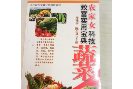 蔬菜(2007年花山文藝出版社出版的圖書) 蔬菜(2007年花山文藝出版社出版的圖書)
