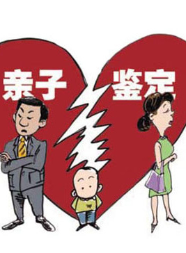 徐黃麗 徐黃麗