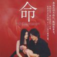 命(日本2002年筱原哲雄執導電影) 命(日本2002年筱原哲雄執導電影)