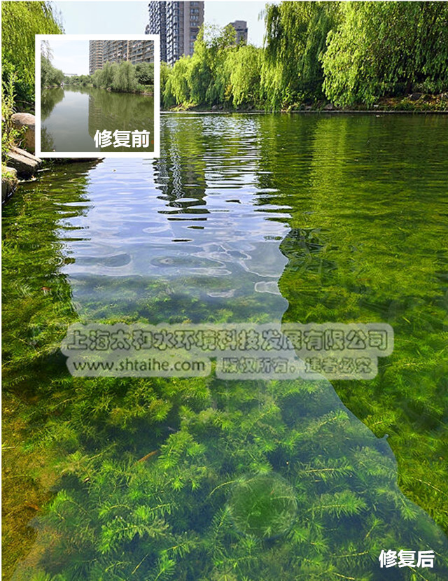 上海太和水環境科技發展有限公司