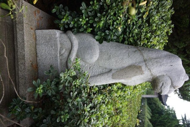 石虎(南) 石虎(南)